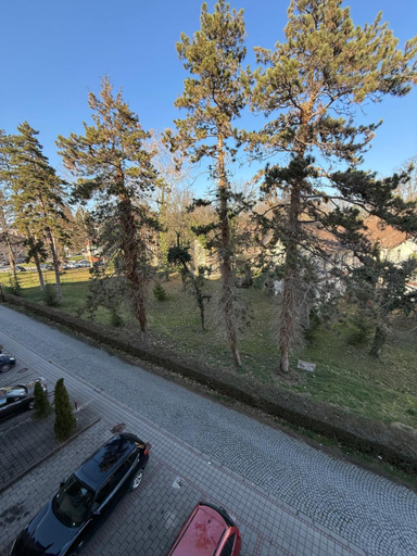 2, Villa Jelena, Loznica