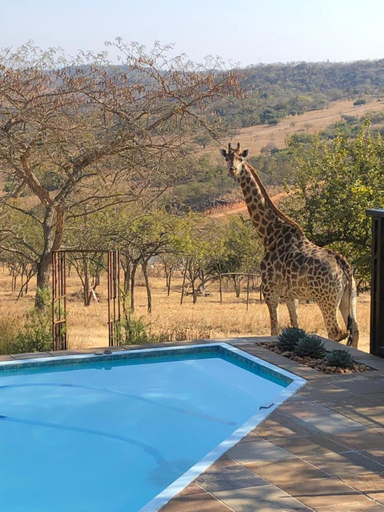 Others 5, Khululeka Safaris Lodge, Ehlanzeni