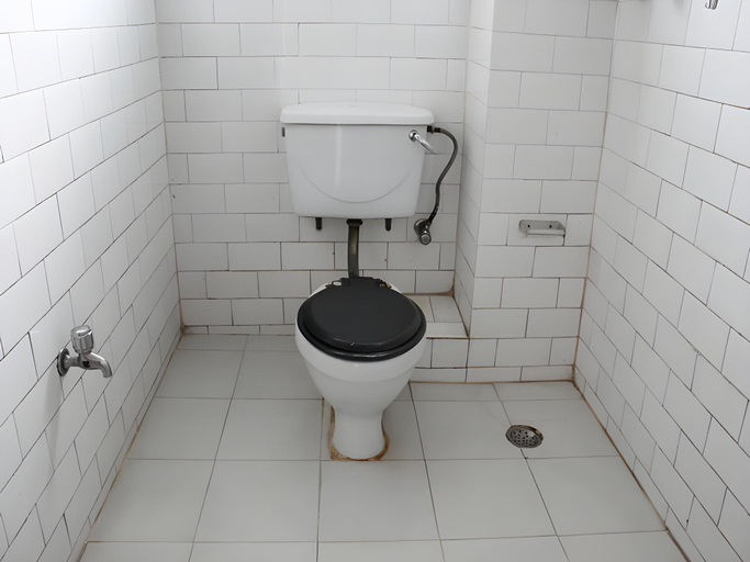 Bathroom 2, Hotel New Dragon, Bagmati