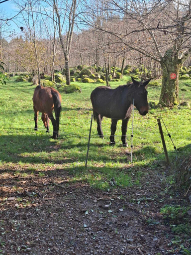Others 5, B&B Maison Colette Valgorge, Ardèche