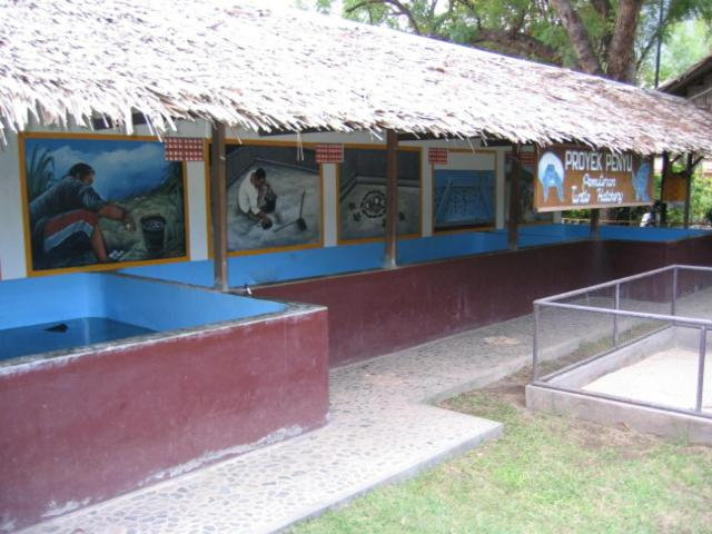 Others 3, Reef Seen Divers' Resort, Buleleng