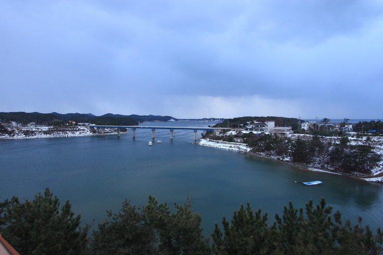 Others 3, Anmyeongdo Oshu, Taean