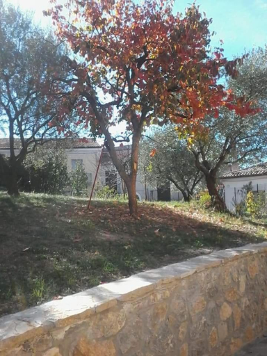 Others 3, B&B Villa Rosina, Potenza