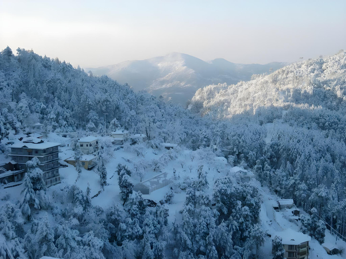 Others 5, Hotel Ekant, Solan