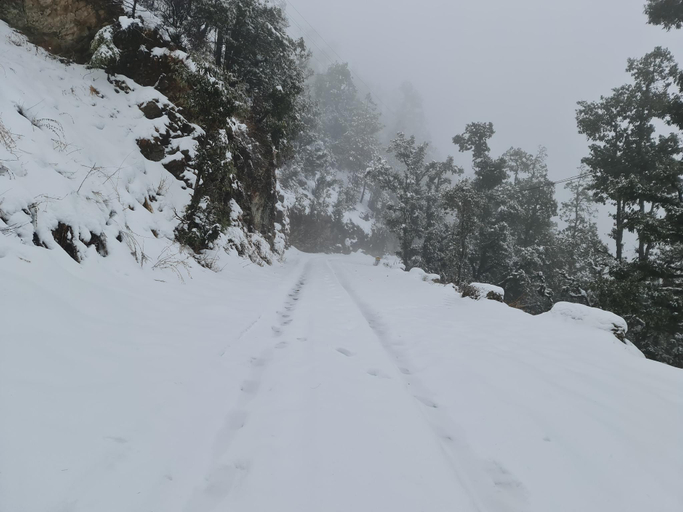 Others 5, The Kanatal Arbour, Tehri Garhwal