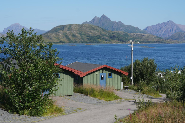 Others 5, Fjordcamp, Bø