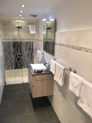 Bathroom 4, Hotel Garni Morettina, Locarno