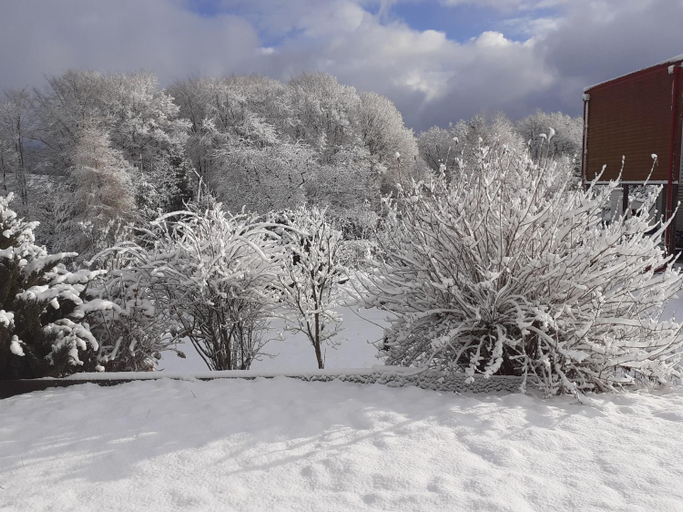 Others 4, Chez Papy, Vosges