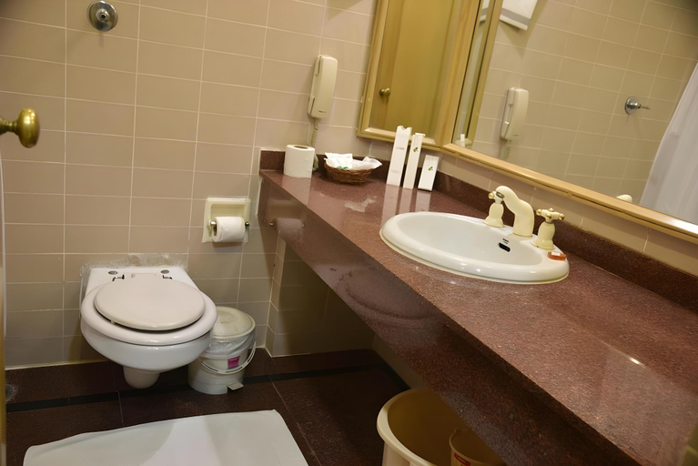 Bathroom 4, Hotel Kamal Palace Jalandhar, Jalandhar