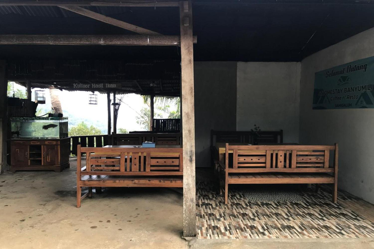 Lobby 4, Homestay Banyumili, Kulon Progo