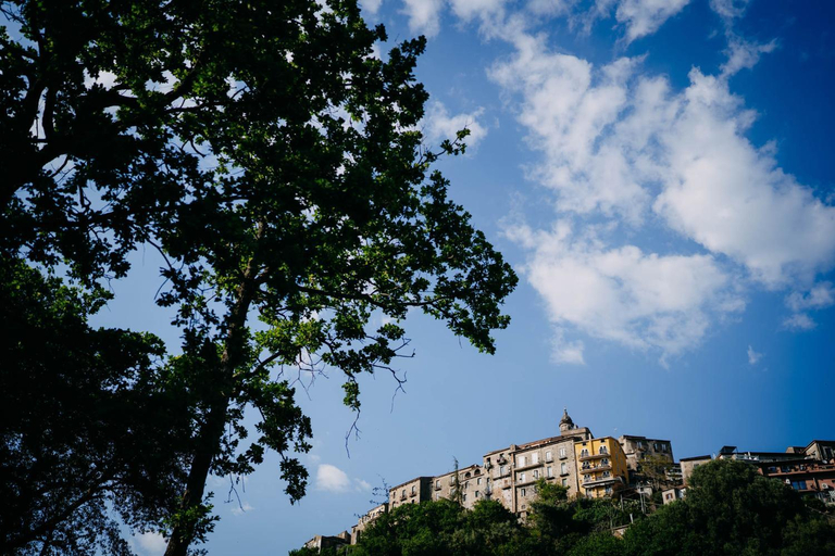 Others 4, Tenuta Le Tre Rose, Salerno