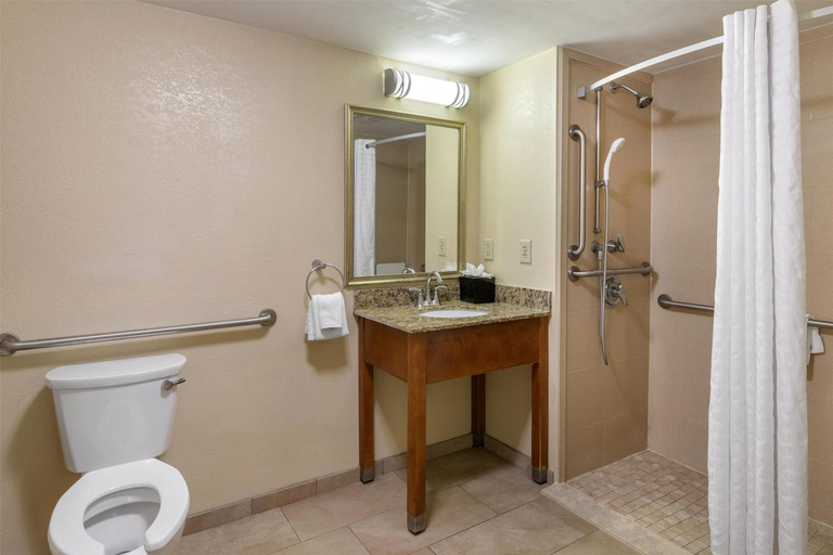 Bathroom 4, Best Western Charleston Inn, Charleston