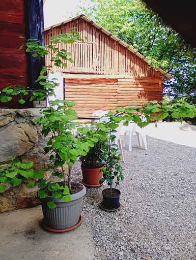Others 5, House Oliver, Rakovica