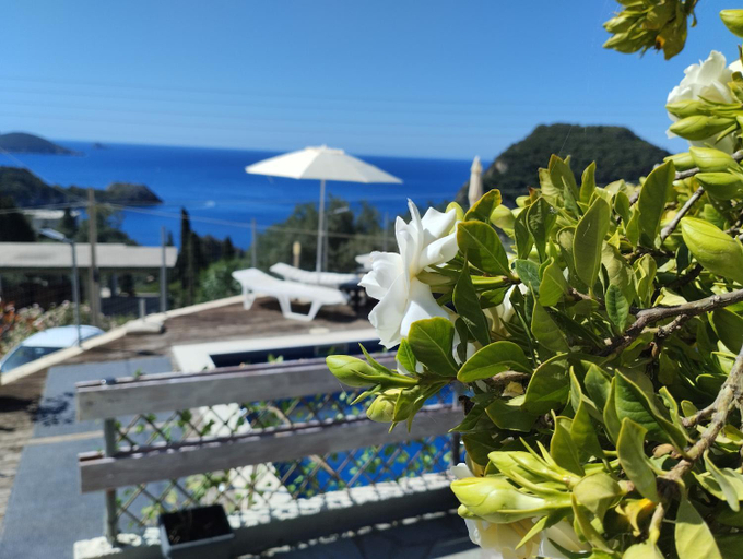 Others 3, spyridoula studio, Ionian Islands