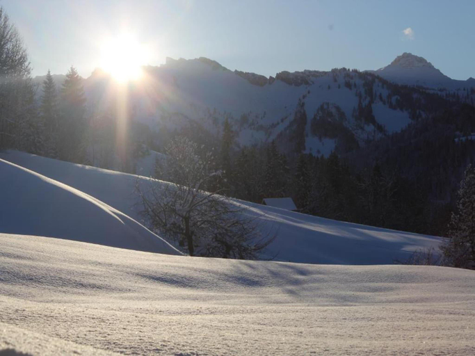 Others 5, Chalet in Sibratsgfall near Ski Slopes, Bregenz