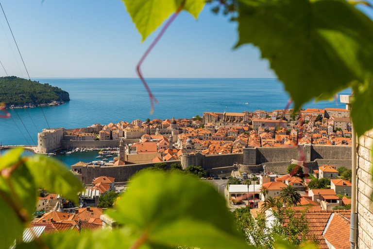 Others 4, Apartments Marin, Dubrovnik