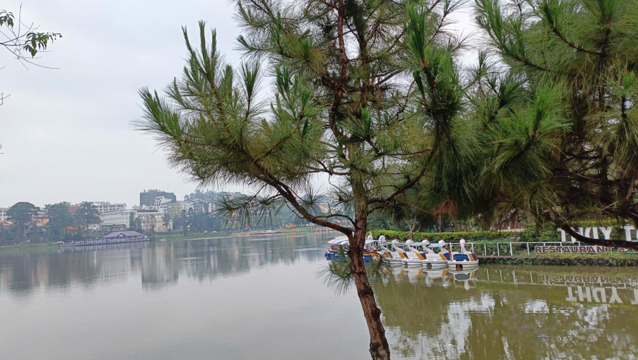Others 4, Tuyet Quynh Hotel, Da Lat, Đà Lạt