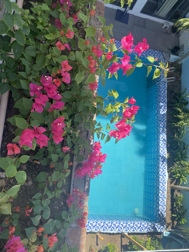 Sport & Beauty 2, XKH APARTMENT , Dumaguete City