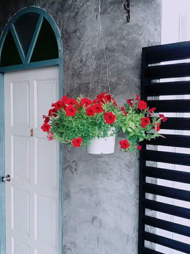 Others 2, Village Apartment CC12345, Pulau Phuket