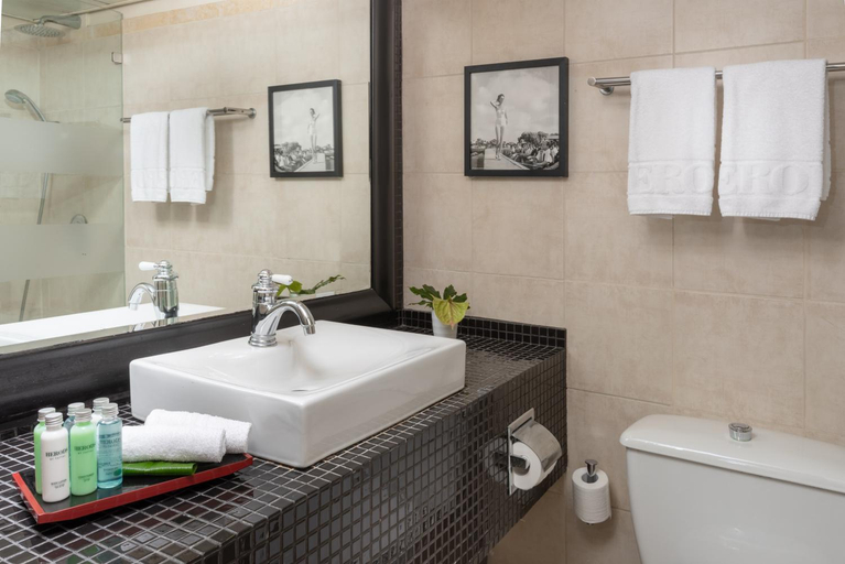 Bathroom 4, Herods Tel Aviv By The Beach