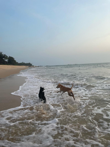 View 2, illa - By the sea, Udupi