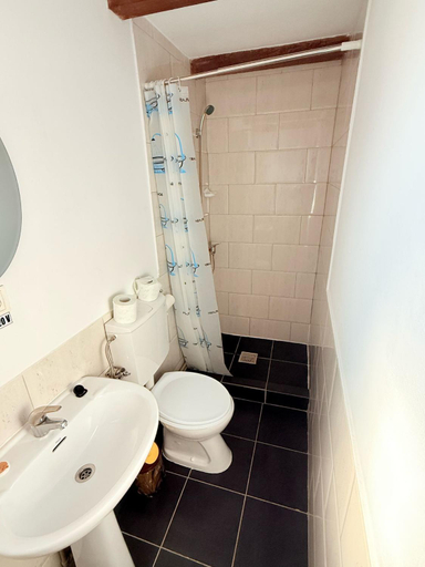 Bathroom, Gospodaria Klaus, Rozavlea