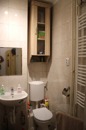 Bathroom 2, Three hippos apartman, Budapesti