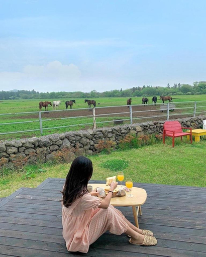 Others 1, Jeju Pony Jeju Pension, Jeju