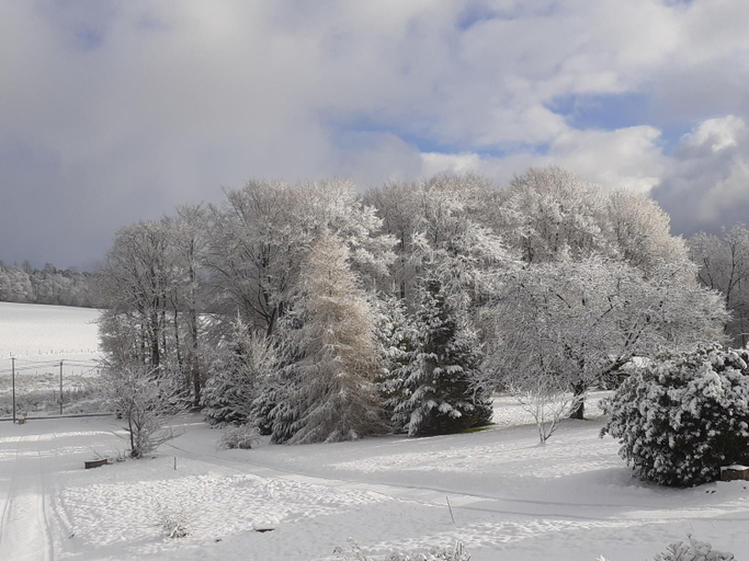 Others 5, Chez Papy, Vosges