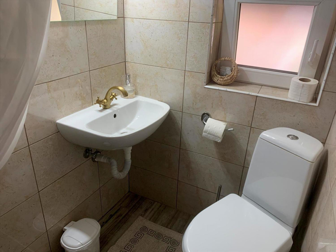 Bathroom 2, Podul De Brazi, Cartisoara