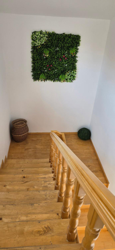 Others 5, Casa Orizont, Costinesti