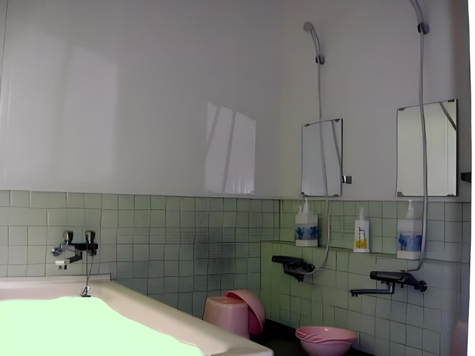 Bathroom 2, Resort inn Sakanoshita, Fujikawaguchiko