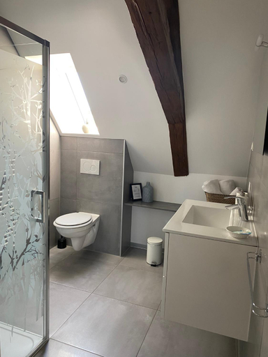 Bathroom 4, Les Rives des Habsbourg, Haut-Rhin