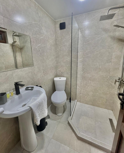Bathroom, Greenwood, Borjomi