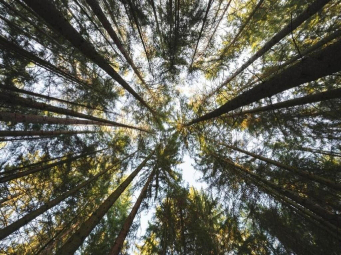 Others 2, Ferienwohnung mit Loggia im Teutoburger Wald, Höxter