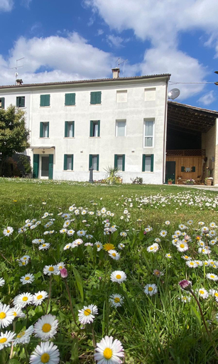 Others 5, Magnolia 41, Treviso