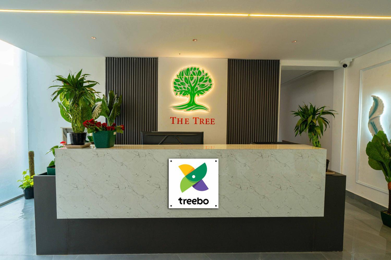 Public Area 2, Treebo The Tree, Hinjewadi, Pune