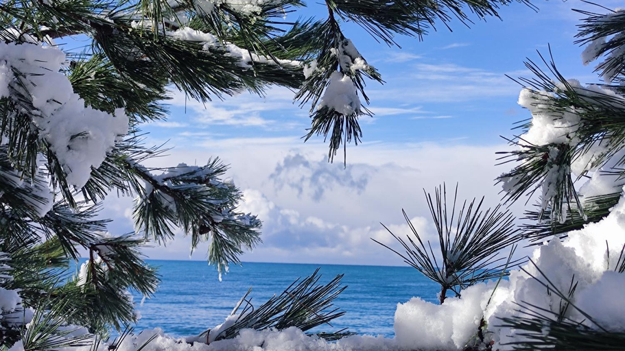 Others 5, Guest House ILIA 345, Kobuleti