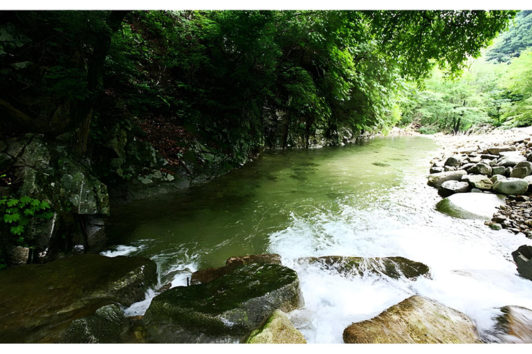 Others 5, Laon Pension, Pocheon