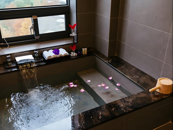 Bathroom, Nature View Hotel, Miaoli