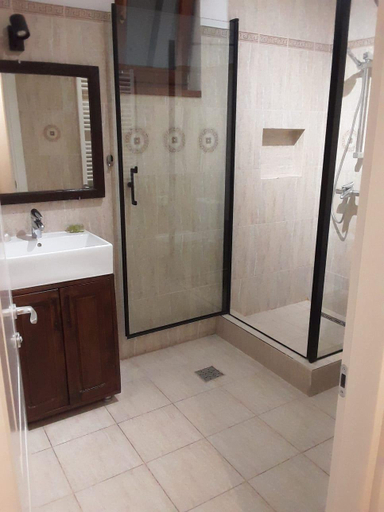 Bathroom 2, Pensiunea Dunavis, Orsova