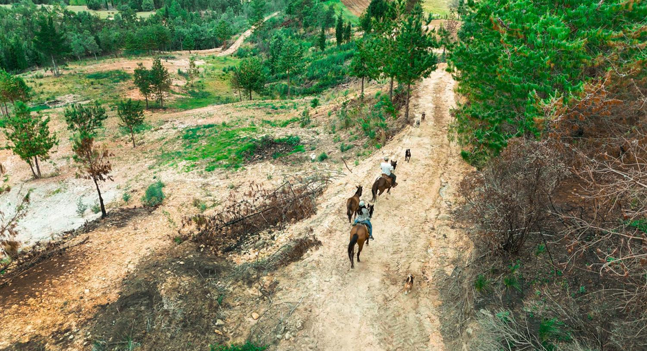 Others 2, Domosup3rlopez - Glamping Petfriendly con Jacuzzi en Boyaca, Pesca