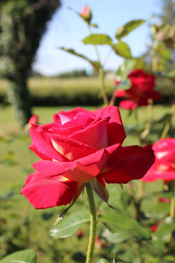 Others 5, ARTS & Passion, Charente-Maritime