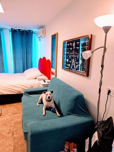 Others 5, Hostal Estudios, Barcelona