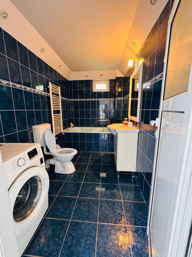 Bathroom 5, Casa Teo, Calimanesti