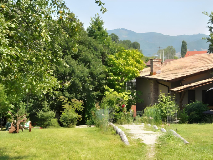 Others 5, Alegria, Eselnita