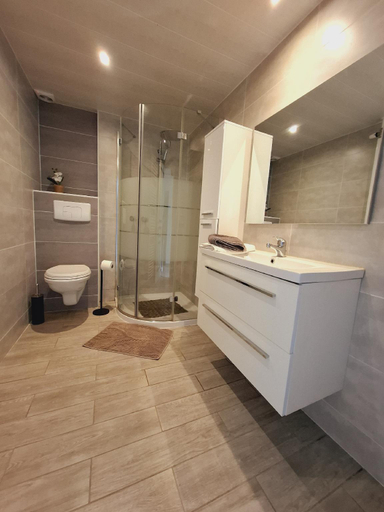 Bathroom 3, Le Gai Pinson, Luxembourg