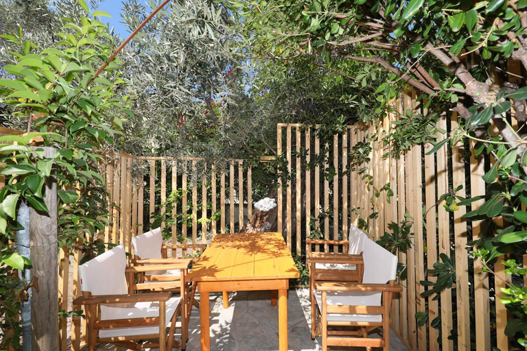 4, Pansion Prodromina, Thessaly