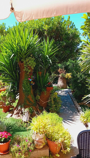 Others 4, B&B Giomar Sardegna Nord Ovest, Sassari