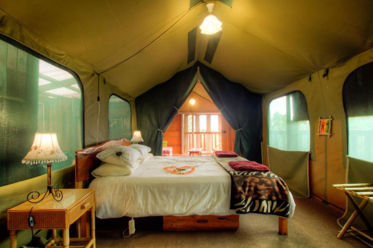 Bedroom 2, Teniqua Treetops, Eden